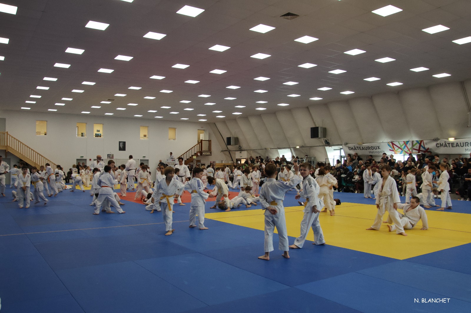 REGROUPEMENT POUSSINS ET PRE-POUSSINS